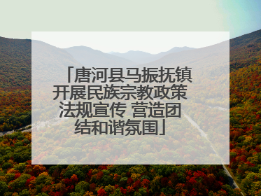 唐河县马振抚镇开展民族宗教政策法规宣传 营造团结和谐氛围