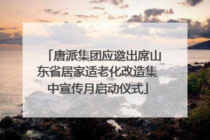 唐派集团应邀出席山东省居家适老化改造集中宣传月启动仪式