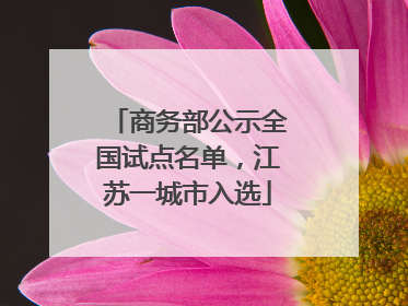 商务部公示全国试点名单，江苏一城市入选