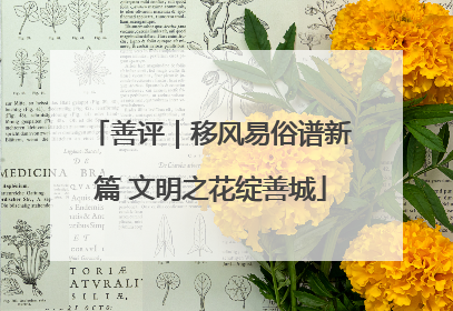 善评｜移风易俗谱新篇 文明之花绽善城