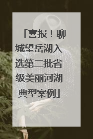 喜报！聊城望岳湖入选第二批省级美丽河湖典型案例