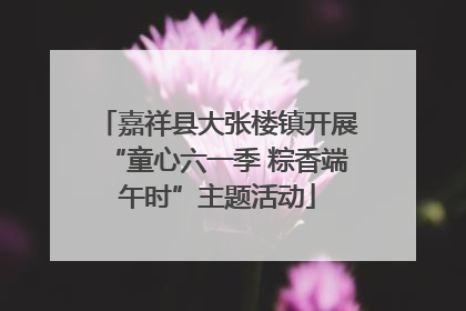 嘉祥县大张楼镇开展“童心六一季 粽香端午时”主题活动