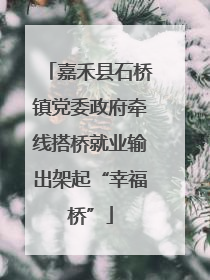 嘉禾县石桥镇党委政府牵线搭桥就业输出架起“幸福桥”