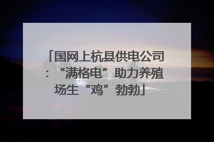 国网上杭县供电公司：“满格电”助力养殖场生“鸡”勃勃