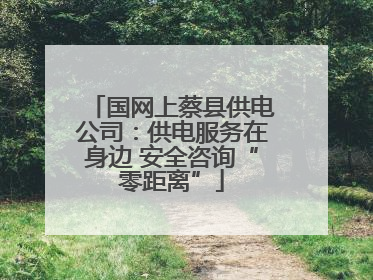 国网上蔡县供电公司：供电服务在身边 安全咨询“零距离”