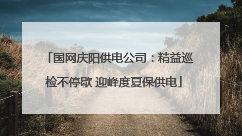 国网庆阳供电公司：精益巡检不停歇 迎峰度夏保供电
