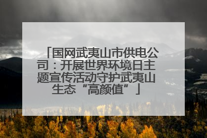 国网武夷山市供电公司：开展世界环境日主题宣传活动守护武夷山生态“高颜值”