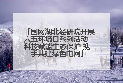 国网湖北经研院开展六五环境日系列活动 科技赋能生态保护 携手共建绿色电网