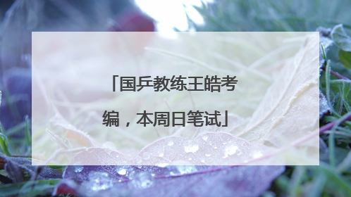 国乒教练王皓考编，本周日笔试