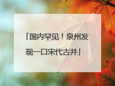 国内罕见！泉州发现一口宋代古井