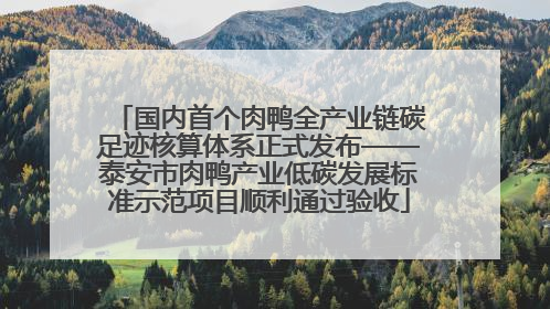 国内首个肉鸭全产业链碳足迹核算体系正式发布——泰安市肉鸭产业低碳发展标准示范项目顺利通过验收