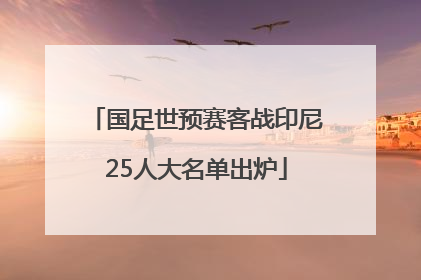 国足世预赛客战印尼25人大名单出炉