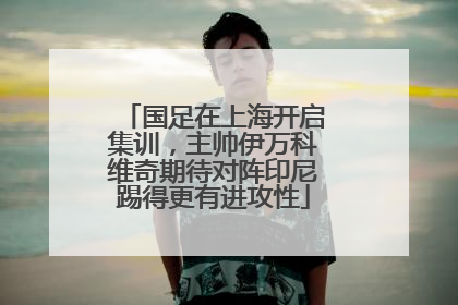 国足在上海开启集训，主帅伊万科维奇期待对阵印尼踢得更有进攻性
