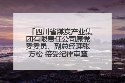 四川省煤炭产业集团有限责任公司原党委委员、副总经理张万松 接受纪律审查和监察调查