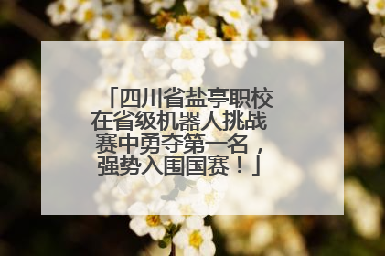 四川省盐亭职校在省级机器人挑战赛中勇夺第一名，强势入围国赛！