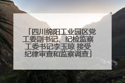四川绵阳工业园区党工委副书记、纪检监察工委书记李玉琼 接受纪律审查和监察调查