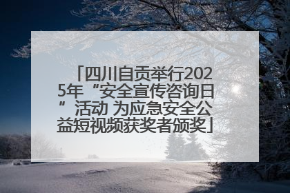四川自贡举行2025年“安全宣传咨询日”活动 为应急安全公益短视频获奖者颁奖