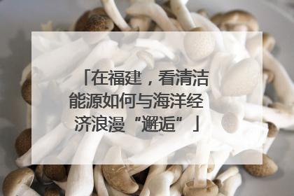 在福建，看清洁能源如何与海洋经济浪漫“邂逅”