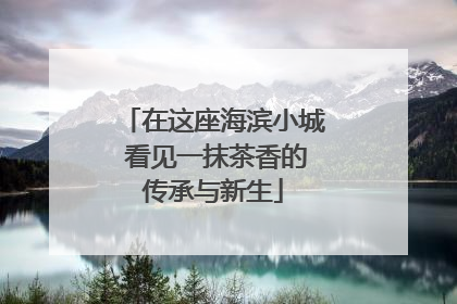 在这座海滨小城 看见一抹茶香的传承与新生