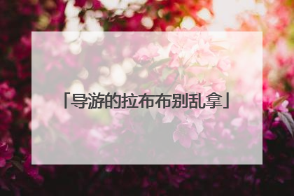 导游的拉布布别乱拿