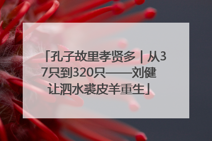 孔子故里孝贤多｜从37只到320只——刘健让泗水裘皮羊重生