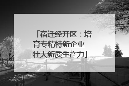 宿迁经开区：培育专精特新企业 壮大新质生产力