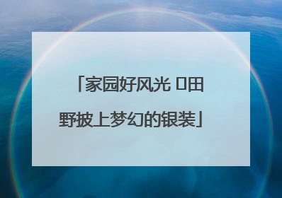 家园好风光 ⎮田野披上梦幻的银装
