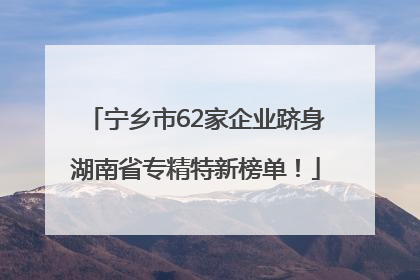 宁乡市62家企业跻身湖南省专精特新榜单！