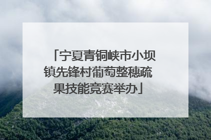 宁夏青铜峡市小坝镇先锋村葡萄整穗疏果技能竞赛举办