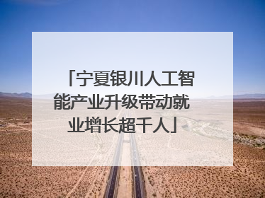 宁夏银川人工智能产业升级带动就业增长超千人