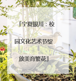 宁夏银川：校园文化艺术节绽放美育繁花
