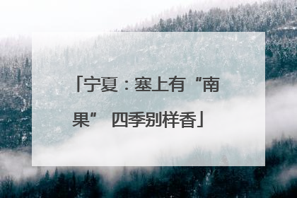 宁夏：塞上有“南果” 四季别样香