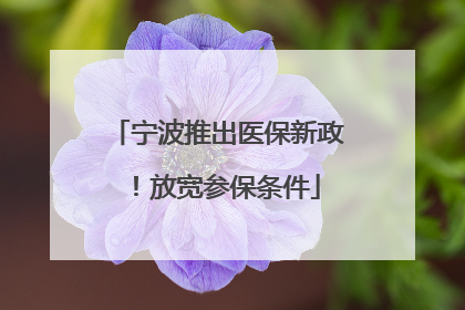 宁波推出医保新政！放宽参保条件