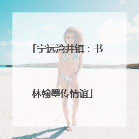 宁远湾井镇：书林翰墨传情谊