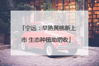 宁远：早熟黄桃新上市 生态种植助增收