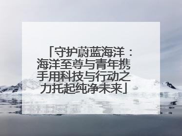 守护蔚蓝海洋：海洋至尊与青年携手用科技与行动之力托起纯净未来