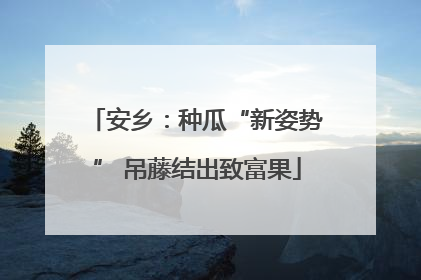 安乡：种瓜“新姿势” 吊藤结出致富果