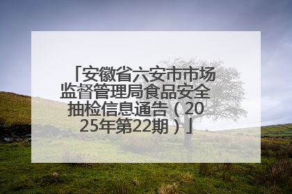 安徽省六安市市场监督管理局食品安全抽检信息通告（2025年第22期）