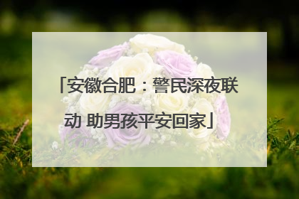 安徽合肥：警民深夜联动 助男孩平安回家