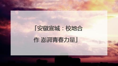 安徽宣城：校地合作 澎湃青春力量