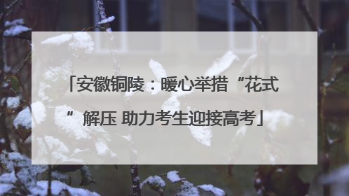安徽铜陵：暖心举措“花式”解压 助力考生迎接高考
