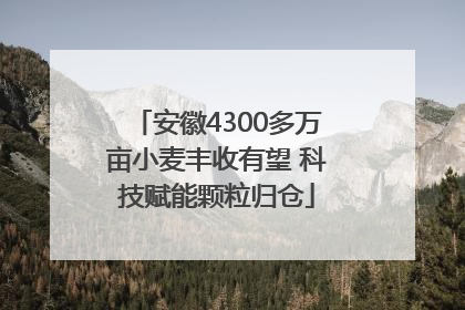 安徽4300多万亩小麦丰收有望 科技赋能颗粒归仓