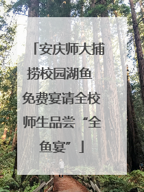安庆师大捕捞校园湖鱼 免费宴请全校师生品尝“全鱼宴”