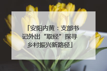 安阳内黄：支部书记外出“取经”探寻乡村振兴新路径