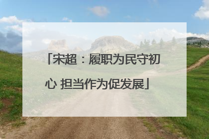 宋超：履职为民守初心 担当作为促发展