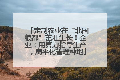 定制农业在“北国粮都”茁壮生长！企业：用算力指导生产，扁平化管理种地
