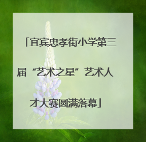 宜宾忠孝街小学第三届“艺术之星”艺术人才大赛圆满落幕