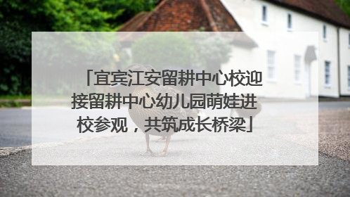 宜宾江安留耕中心校迎接留耕中心幼儿园萌娃进校参观，共筑成长桥梁