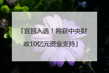 宜昌入选！将获中央财政10亿元资金支持