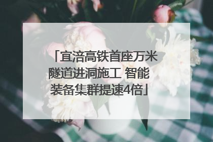 宜涪高铁首座万米隧道进洞施工 智能装备集群提速4倍
